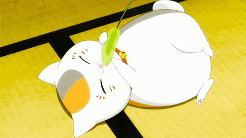cat1